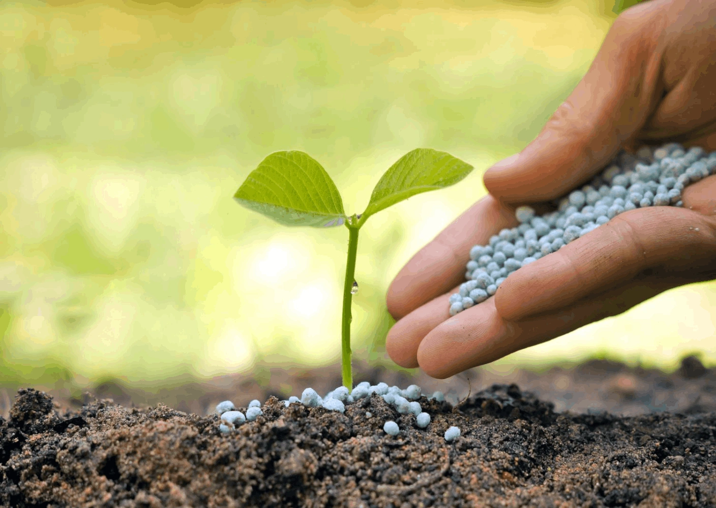 Yem ve Gübre Süreç Danışmanlığı